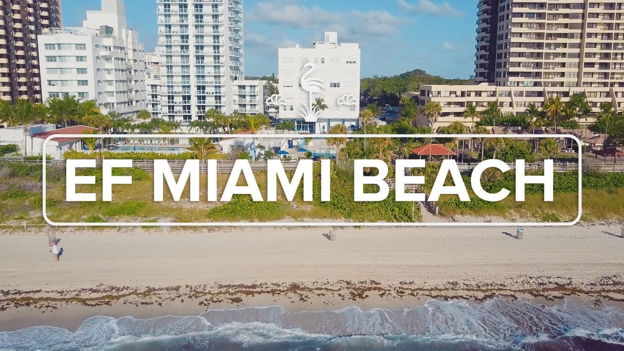 ef miami beach – campus tour